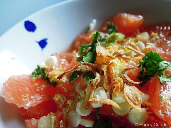 pomelo-grapefruit-salad-04
